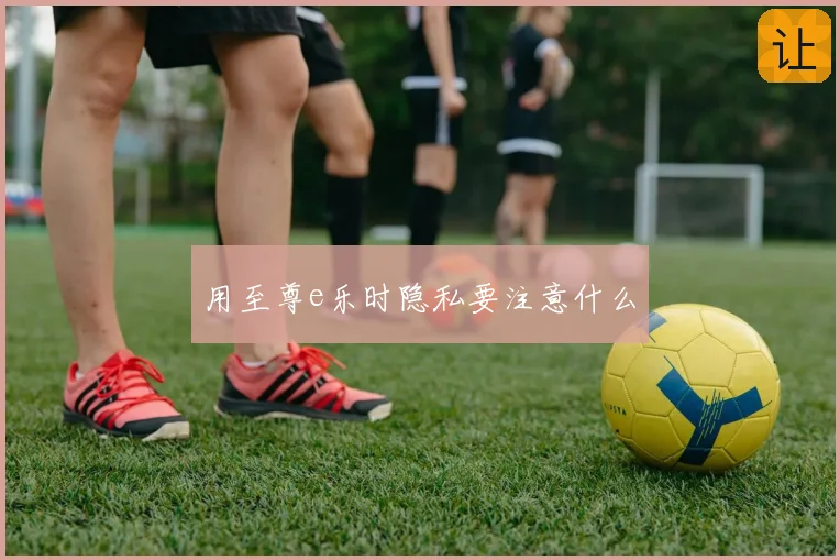 用至尊e乐时隐私要注意什么
