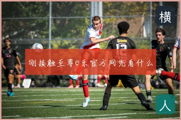 刚接触至尊e乐官方网先看什么